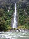 New_Zealand (451)